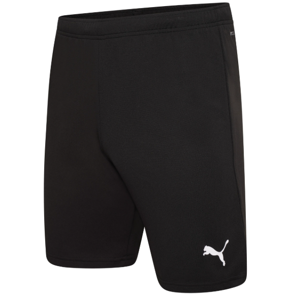 Puma Team Logo Shorts
